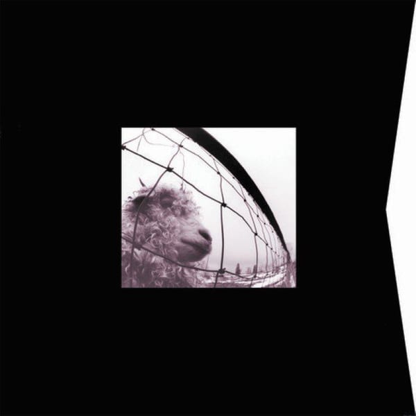 Vs. and Vitalogy cover