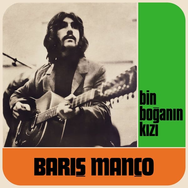 Binboğanın Kızı cover
