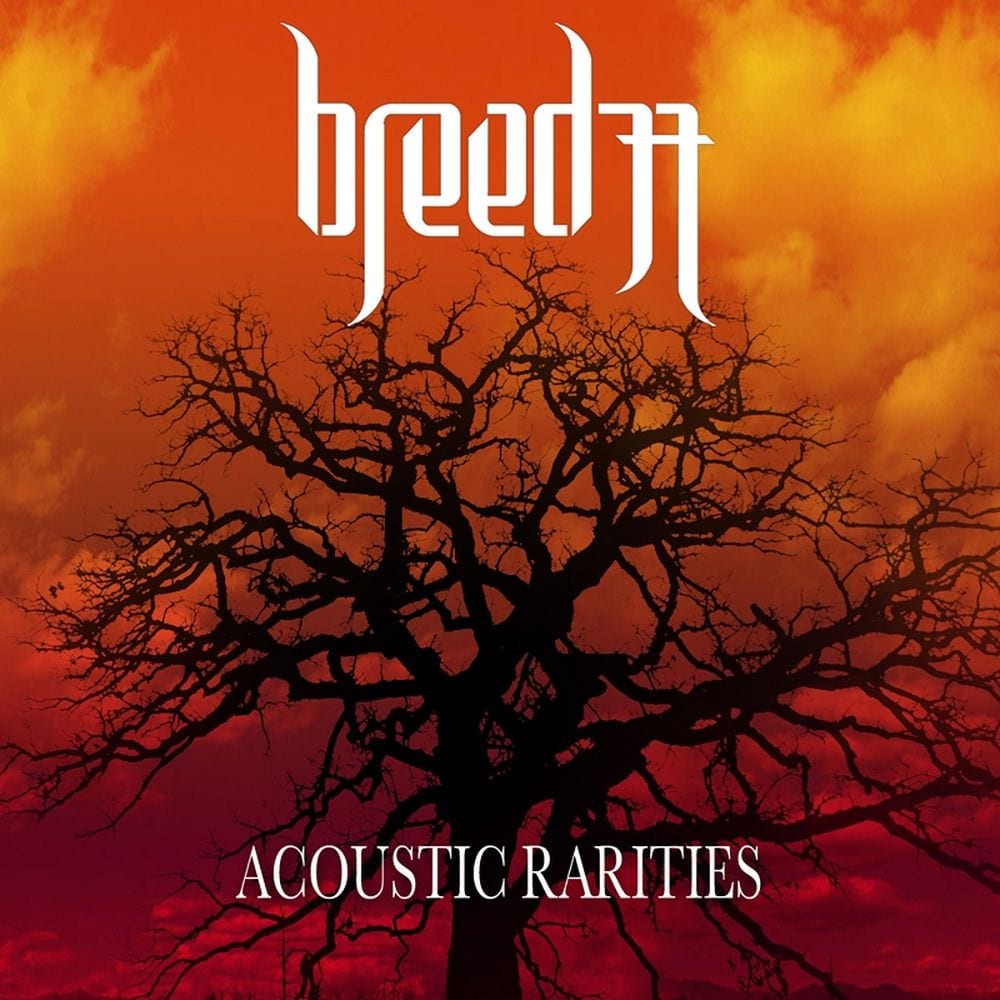 Acoustic Rarities cover