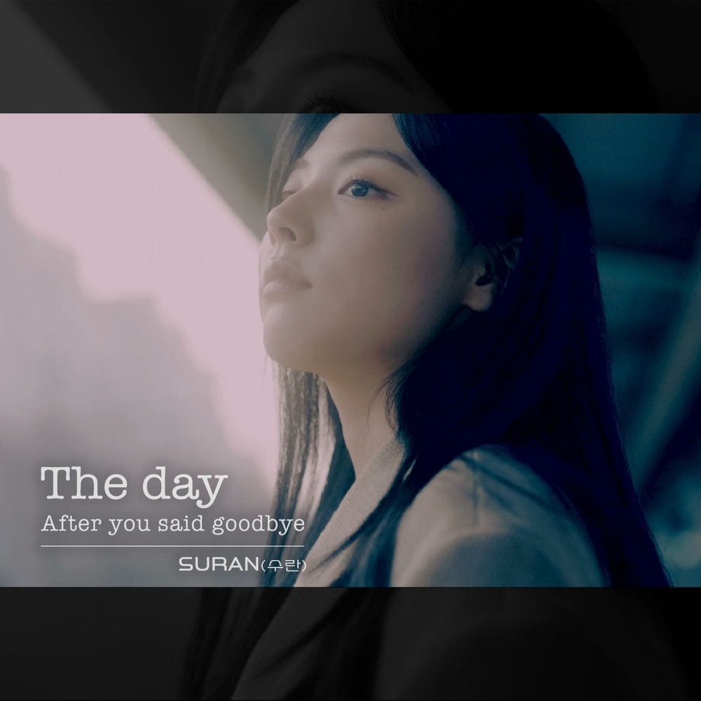 The Day After You Said Goodbye cover