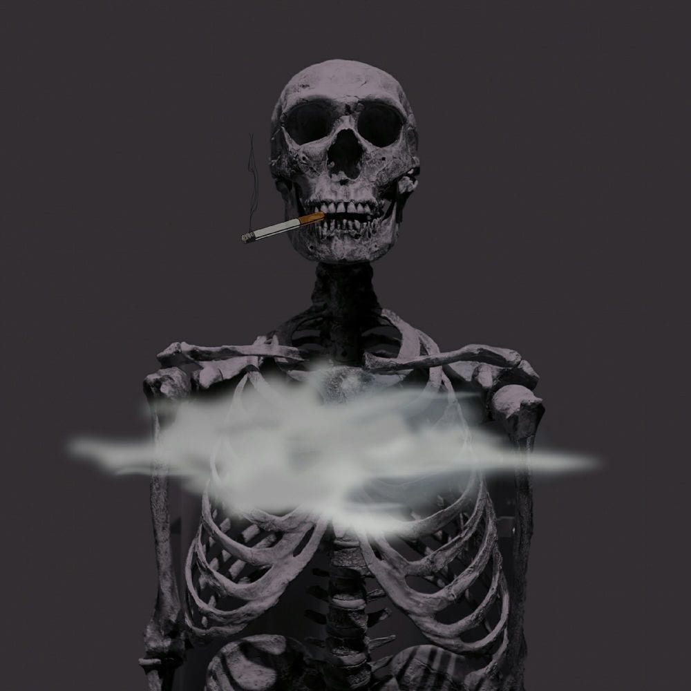 Life Experience cover
