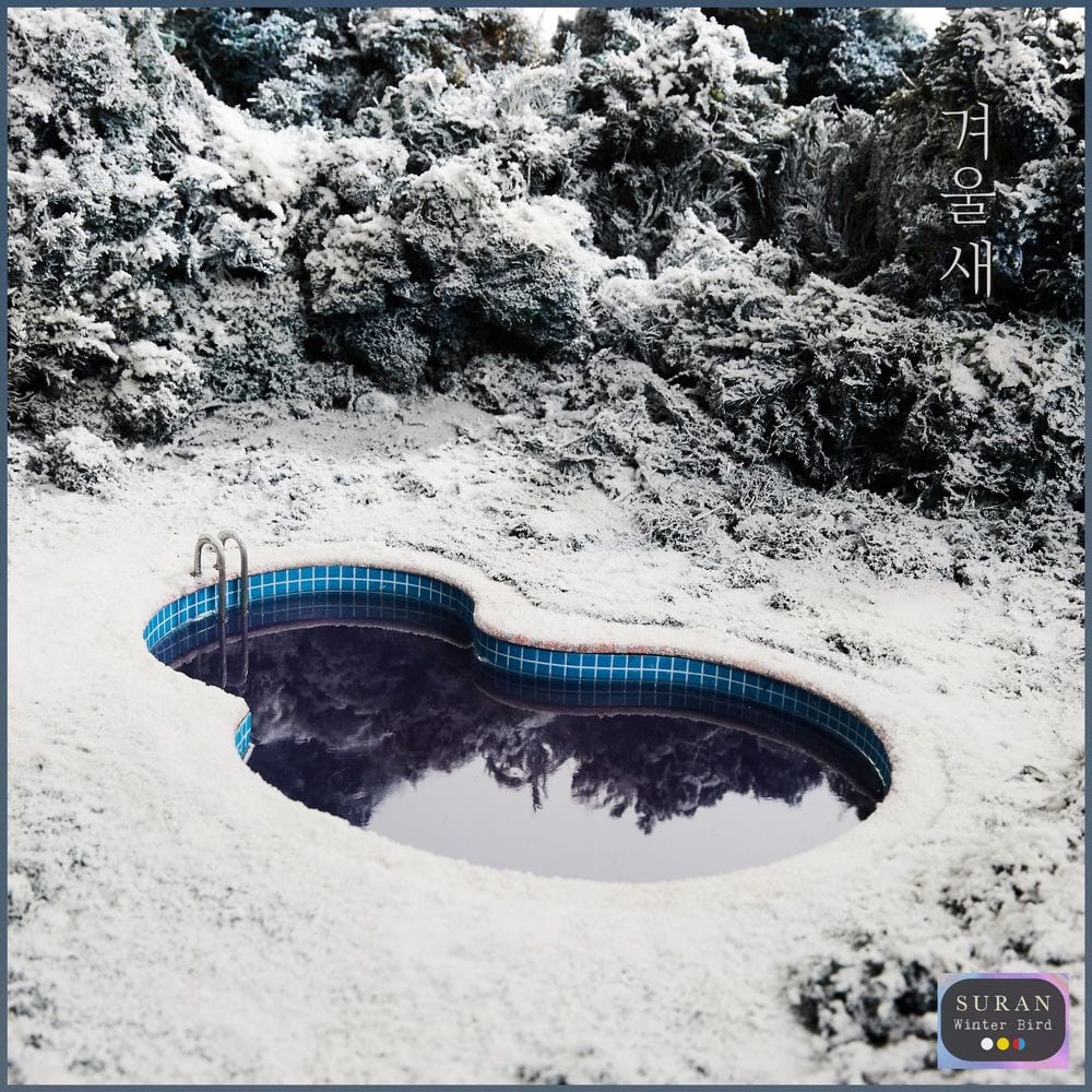 Winter Bird cover
