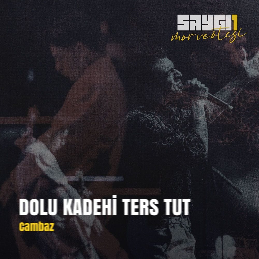 Cambaz (Saygi1) cover