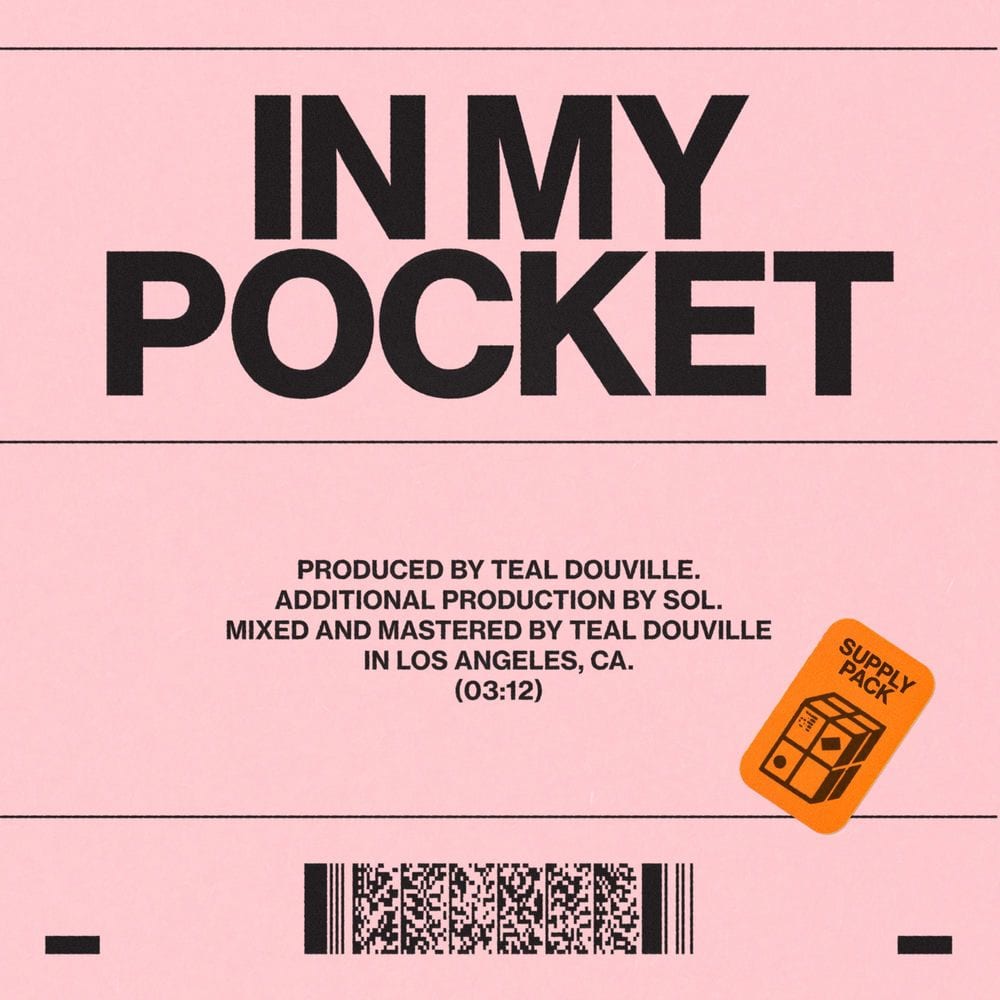 IN MY POCKET cover