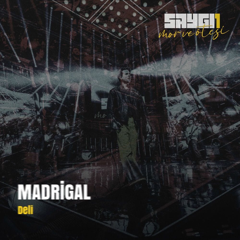 Deli (Saygi1) cover