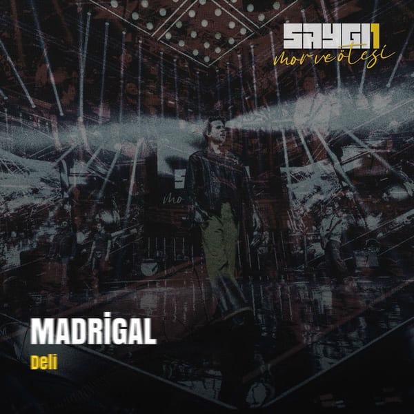 Deli (Saygi1) album cover