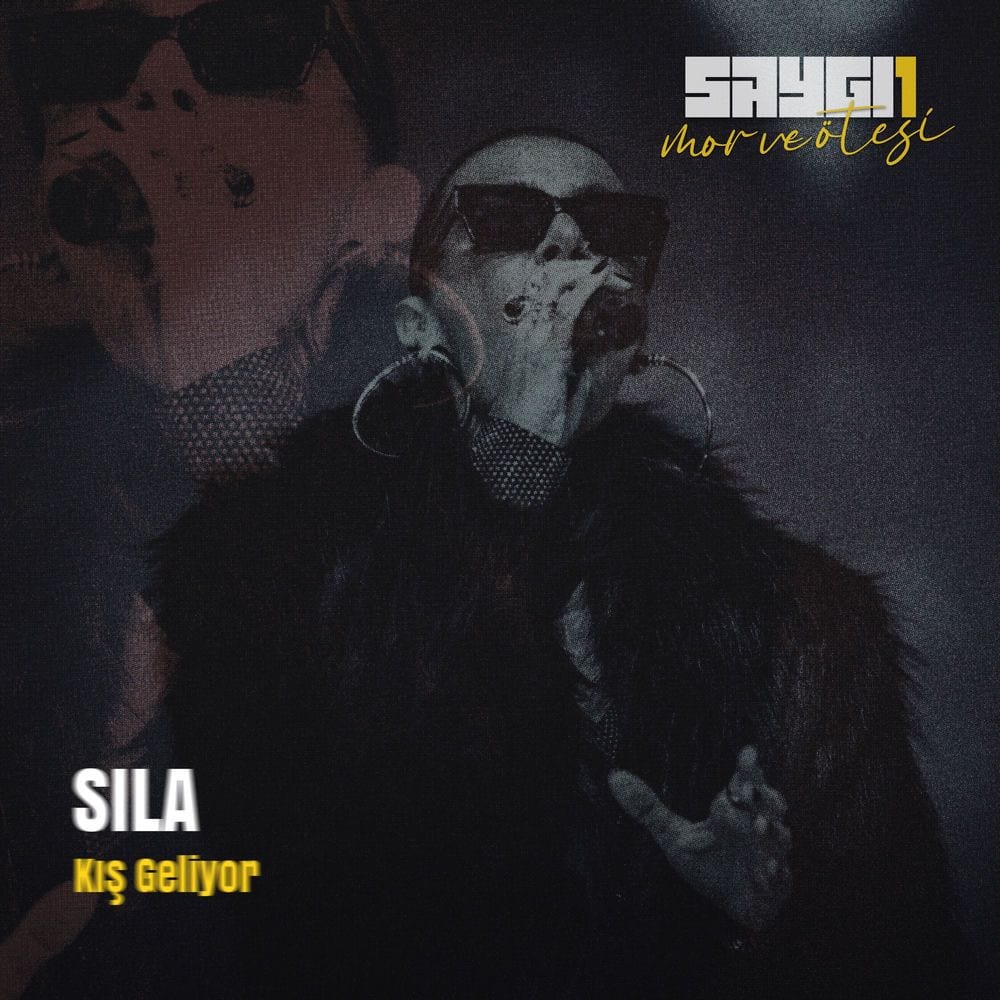 Kış Geliyor (Saygi1) cover