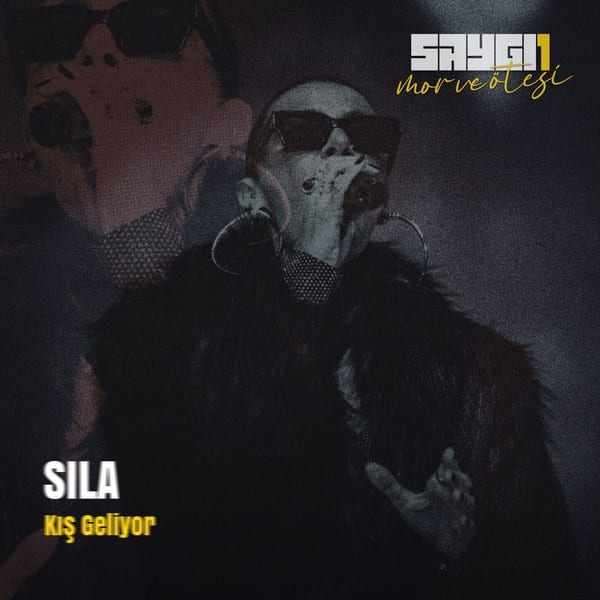 Kış Geliyor (Saygi1) cover