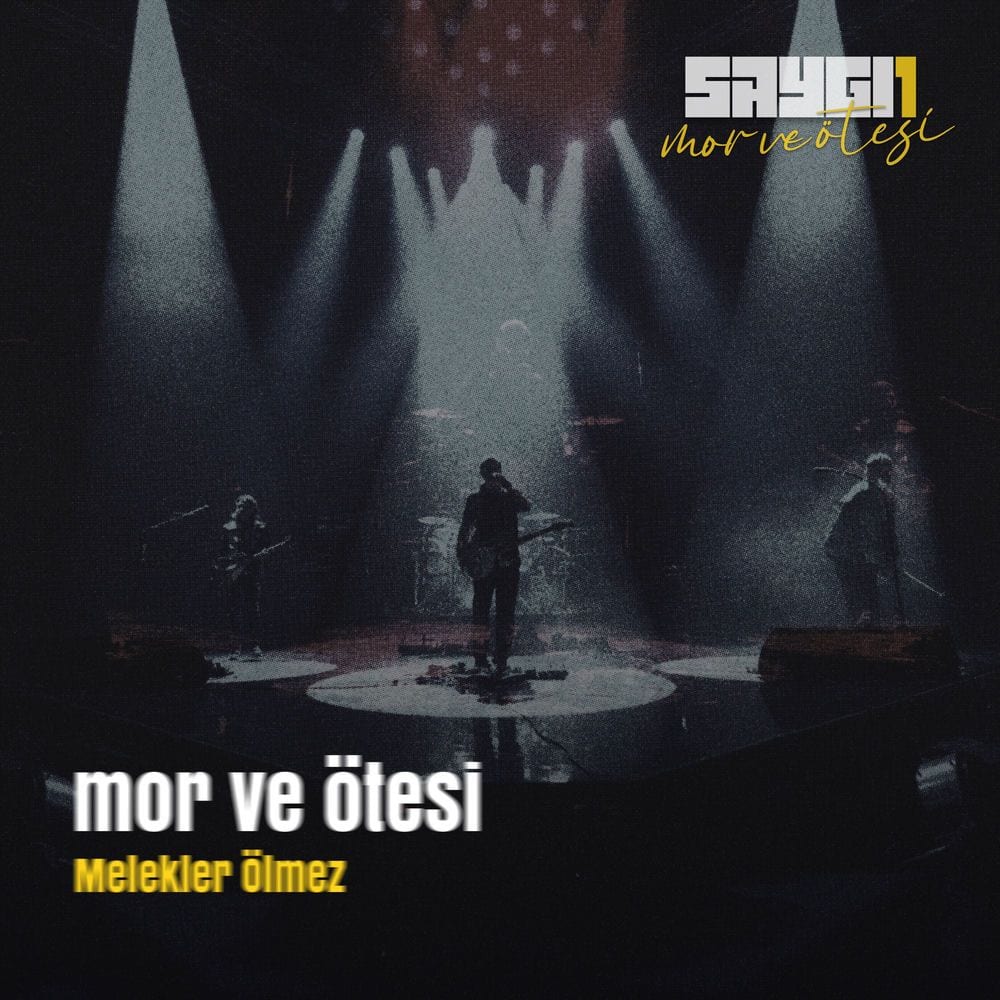 Melekler Ölmez (Saygi1, Canlı Senfonik) cover