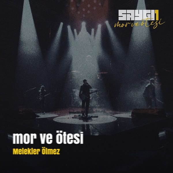Melekler Ölmez (Saygi1, Canlı Senfonik) cover
