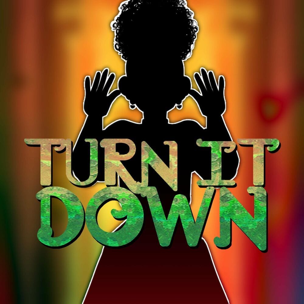 Turn It Down cover