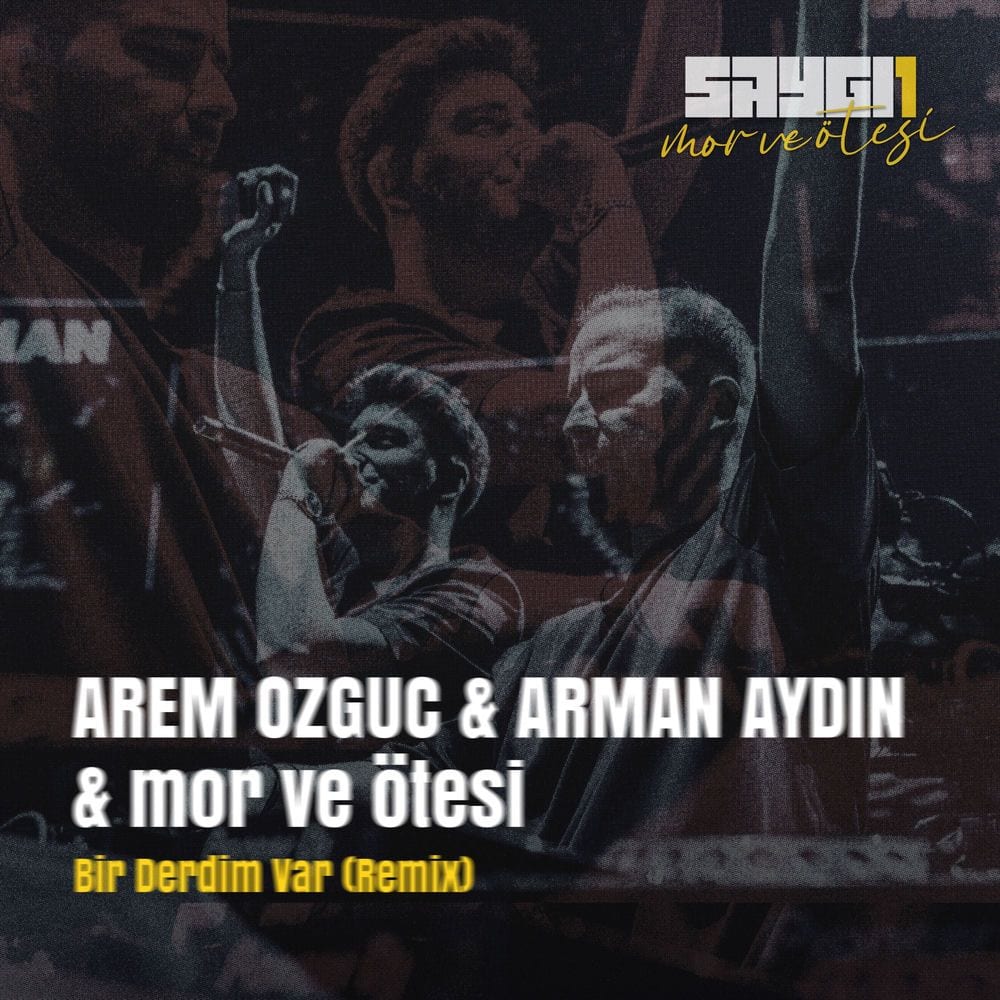 Bir Derdim Var (SAYGI1, Remix) cover