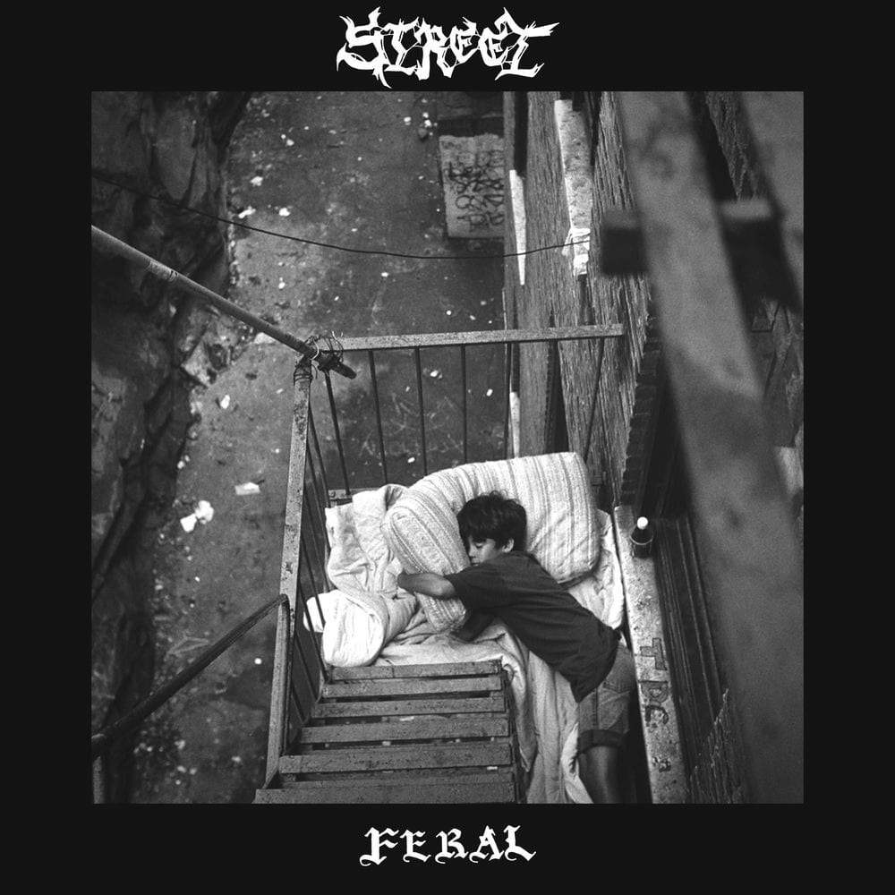 Feral