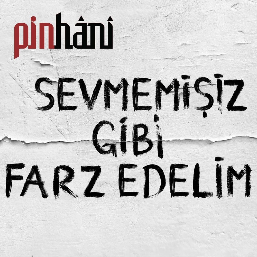 Sevmemişiz Gibi Farz Edelim cover