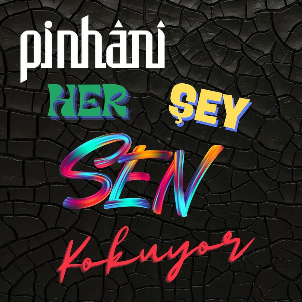 Her Şey Sen Kokuyor cover
