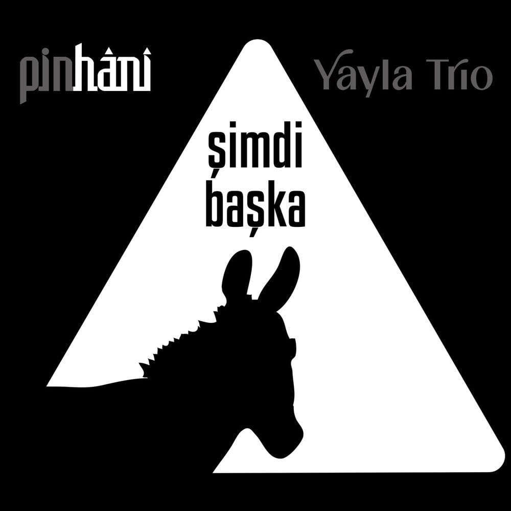 Şimdi Başka cover