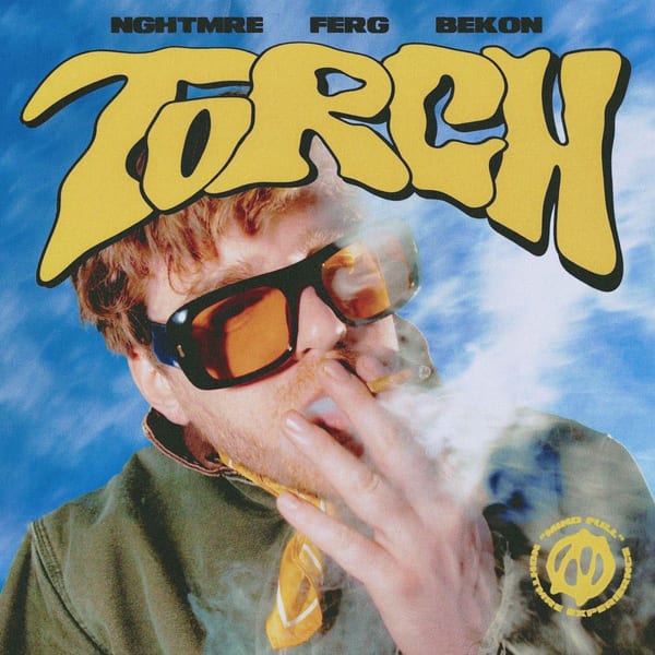 Torch cover