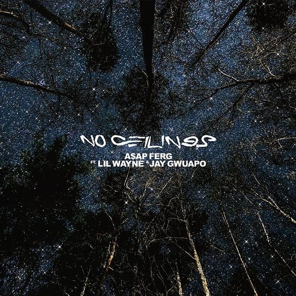 No Ceilings (feat. Lil Wayne & Jay Gwuapo) cover