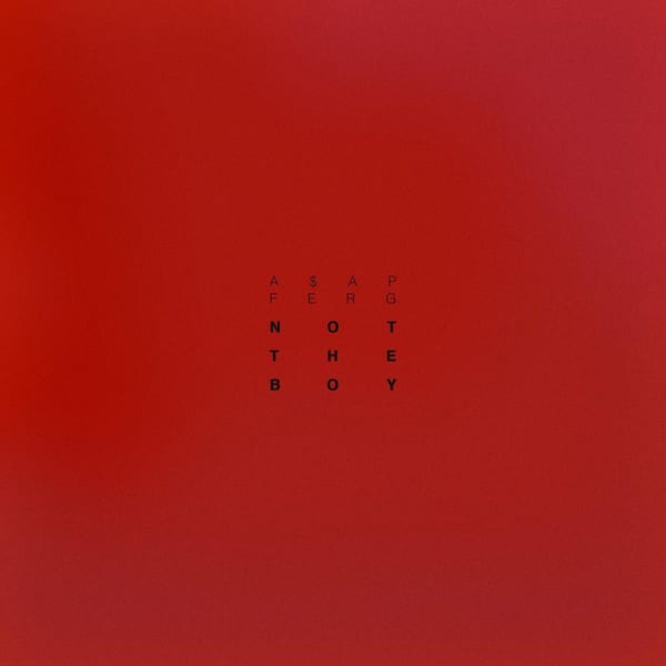 Not The Boy cover