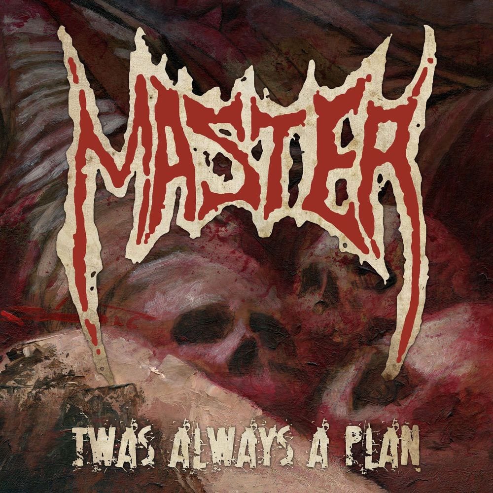Twas Always a Plan cover