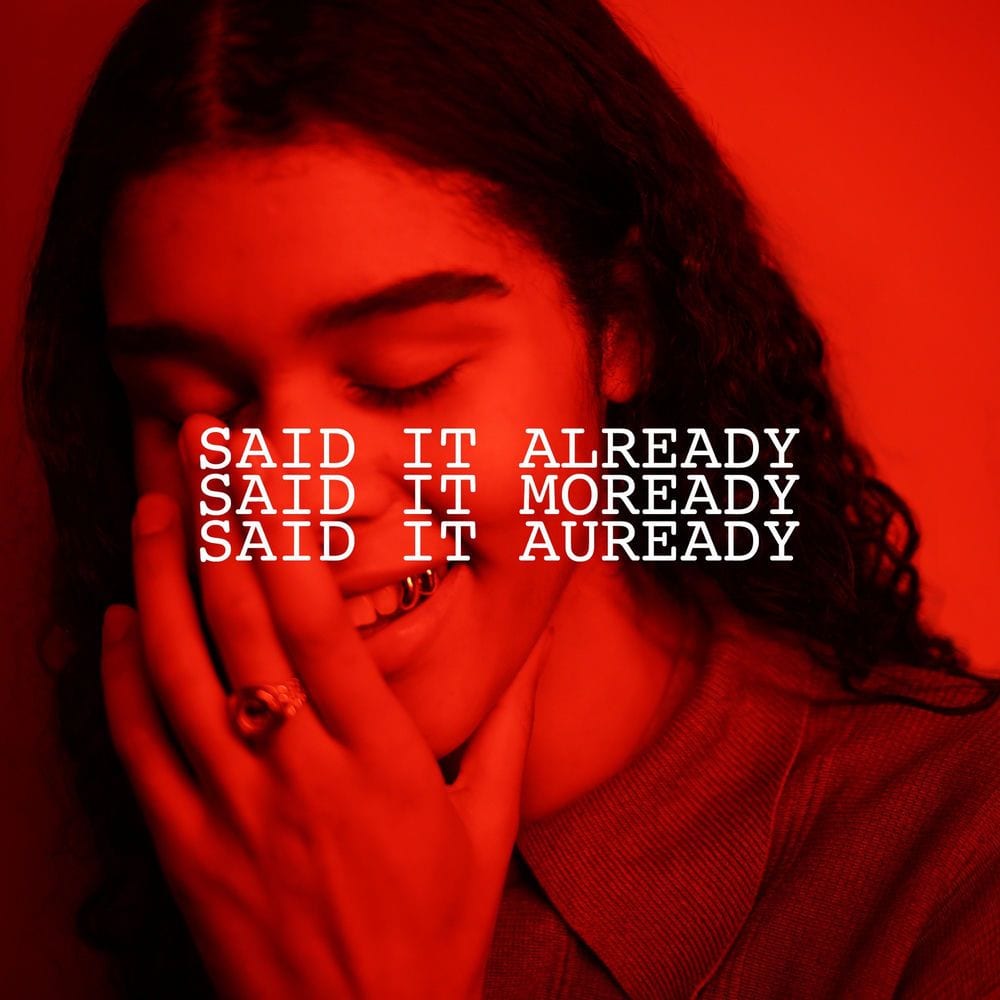 Said It Already cover