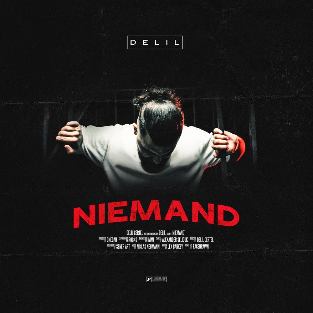 Niemand cover