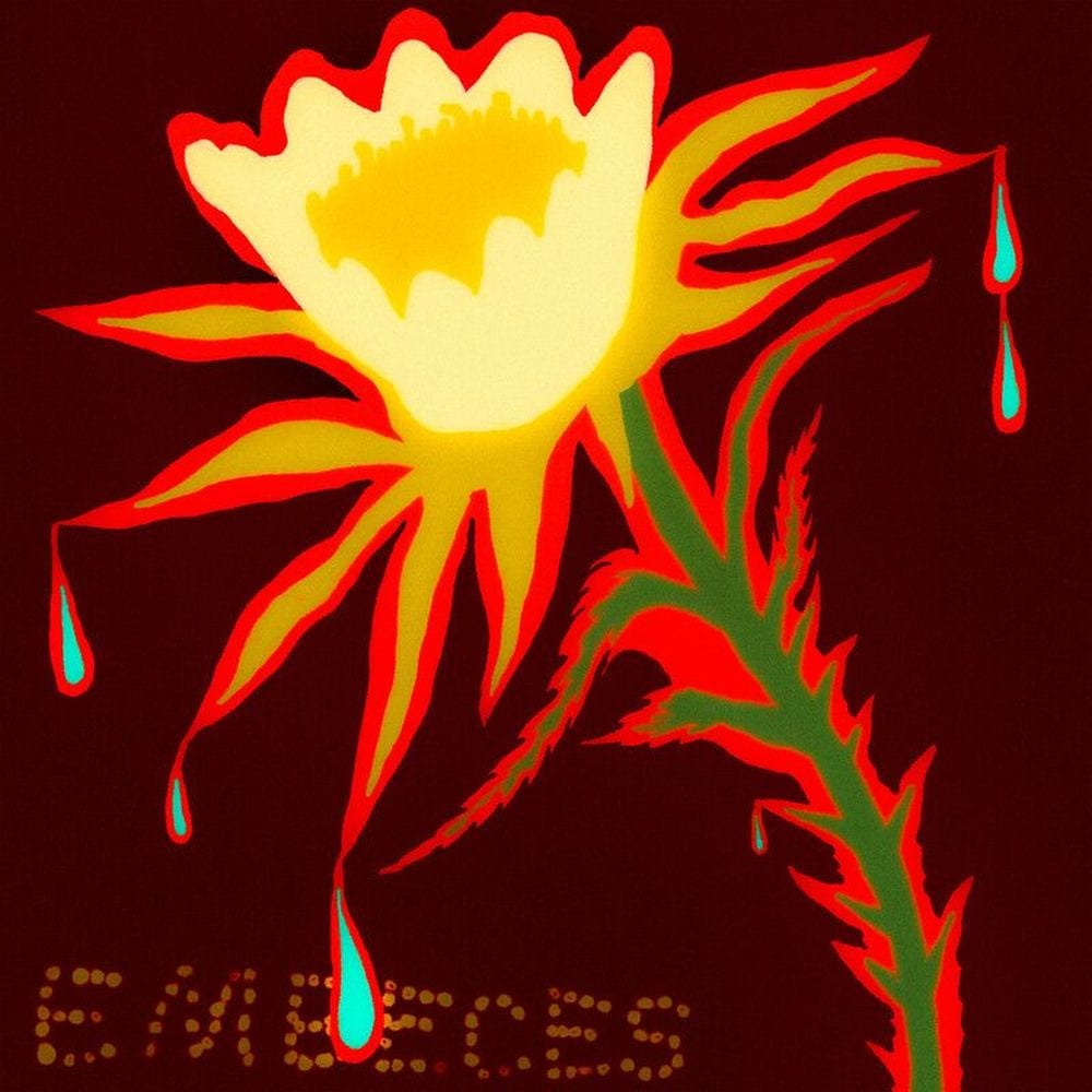 Embeces cover