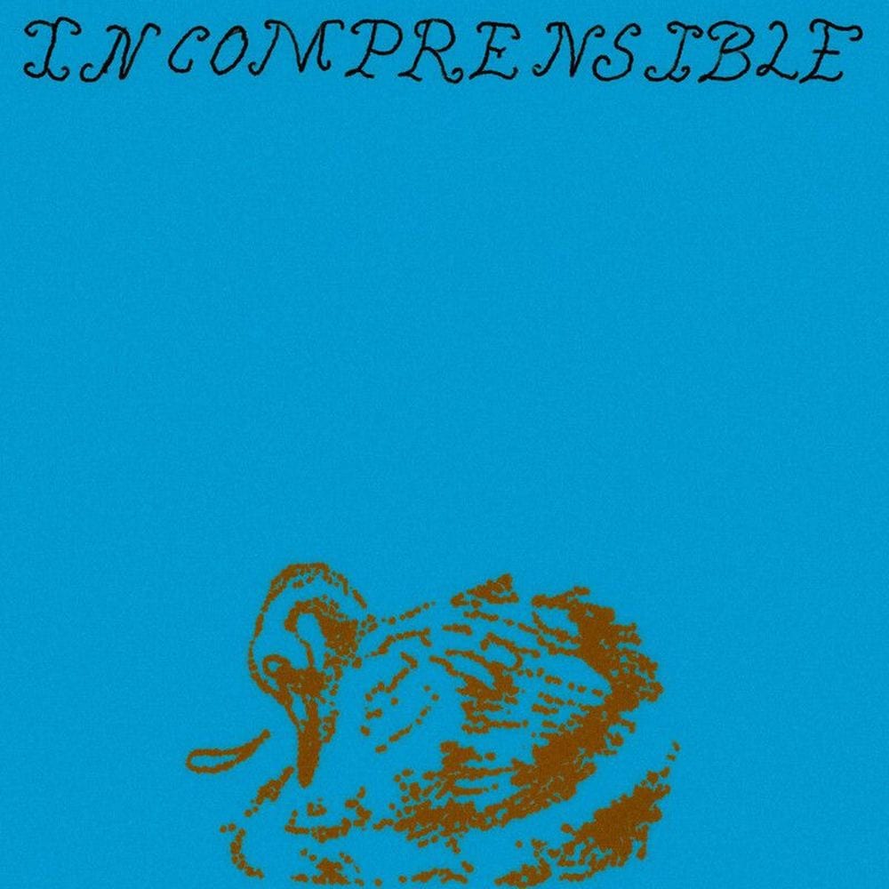 Incomprensible cover
