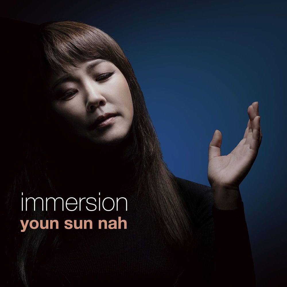 Immersion cover