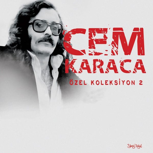 Özel Koleksiyon, Vol. 2 album cover