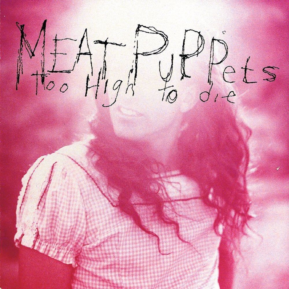 Too High to Die cover