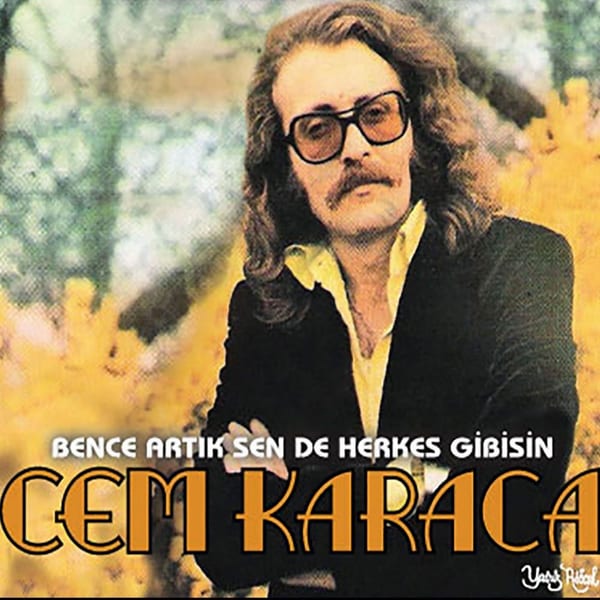 Bence Artık Sen De Herkes Gibisin cover