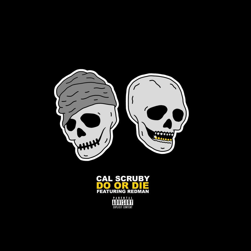 Do Or Die (feat. Redman) cover