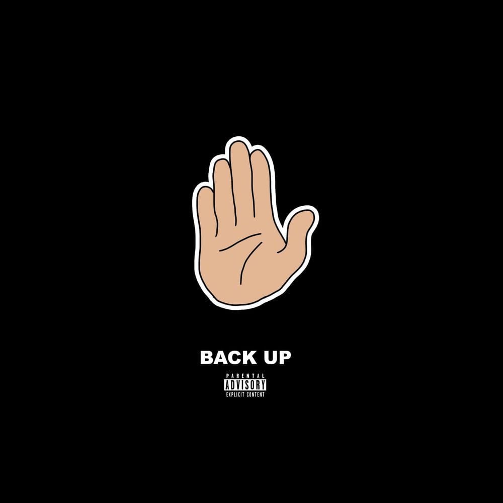 Back Up cover