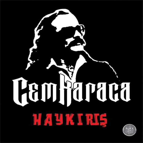 Haykırış cover