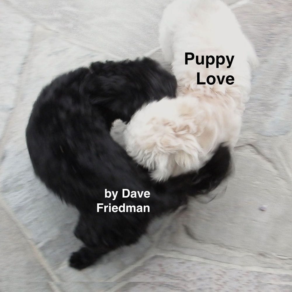 Puppy Love cover