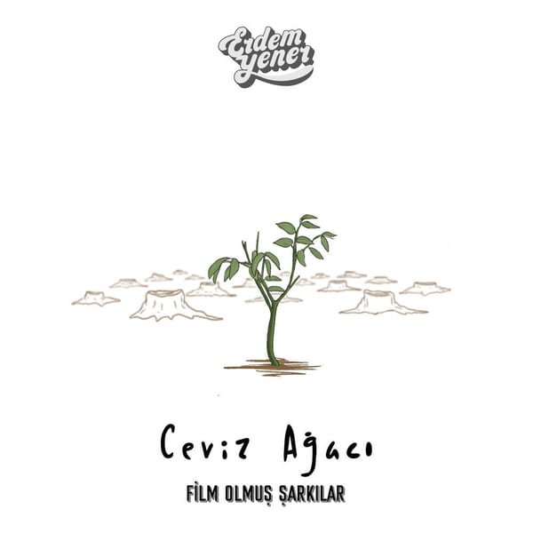 Ceviz Ağacı (Film Olmuş Şarkılar) cover