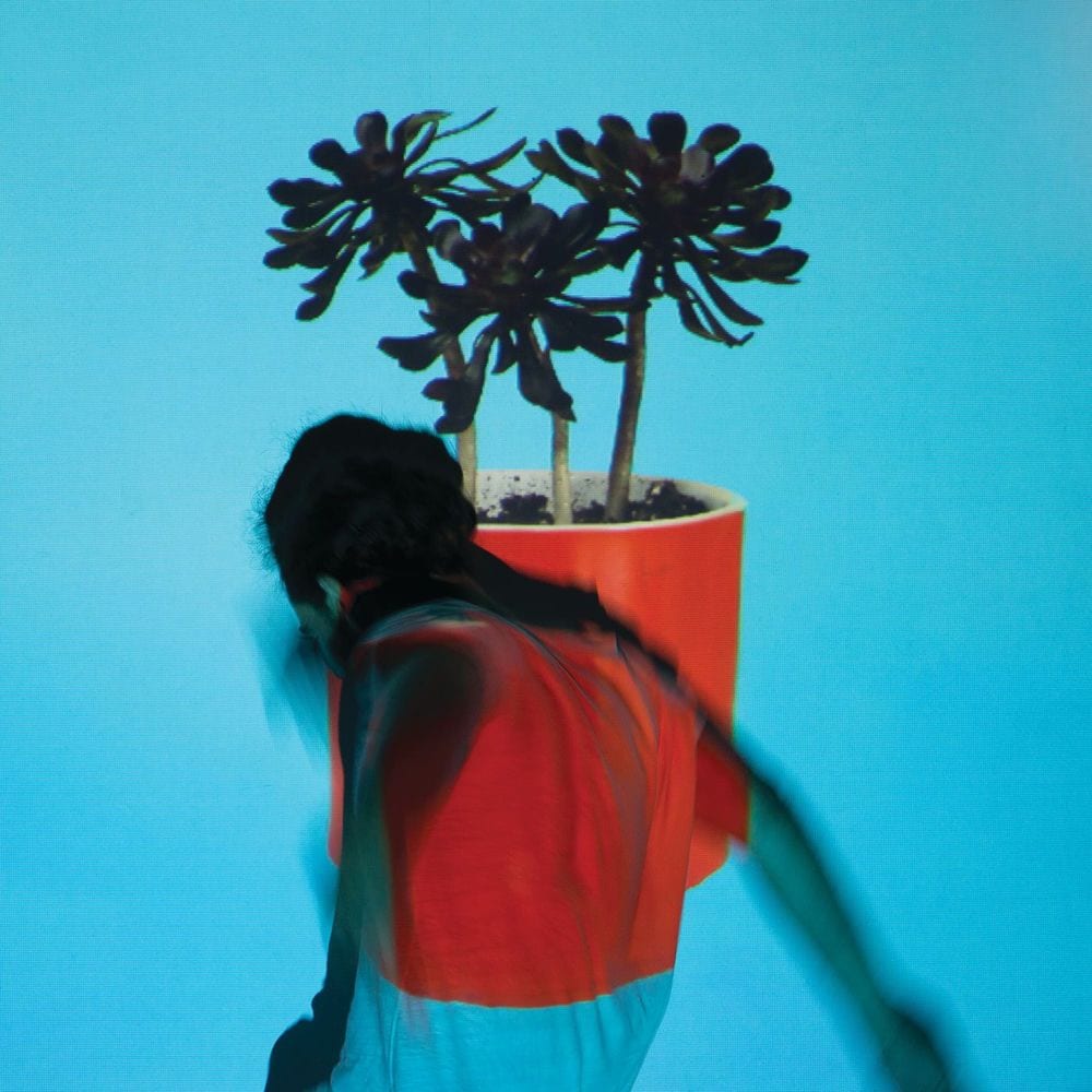 Sunlit Youth cover