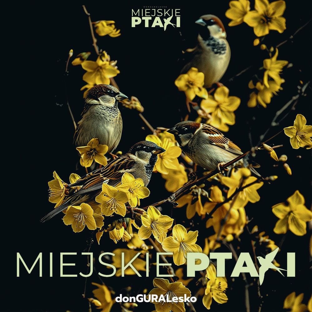 Miejskie Ptaki cover