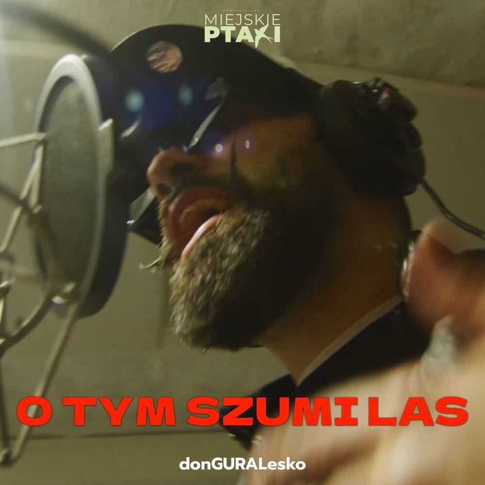 O Tym Szumi Las cover