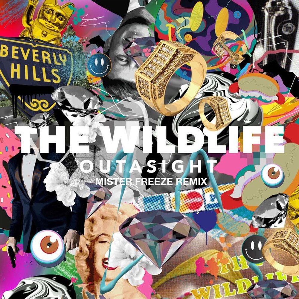 The Wild Life (Mister Freeze Remix) cover