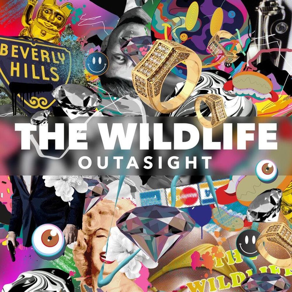 The Wild Life cover