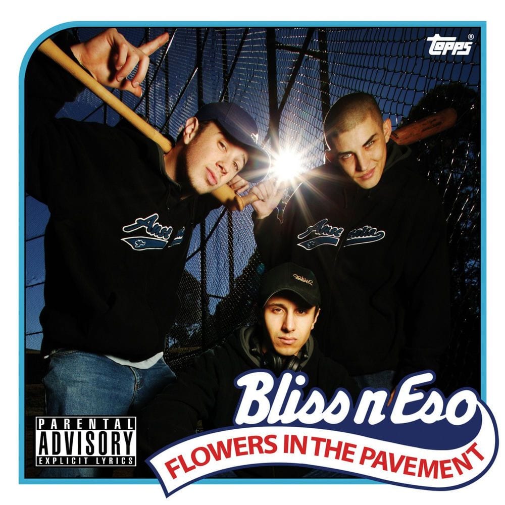 Flowers in the Pavement cover