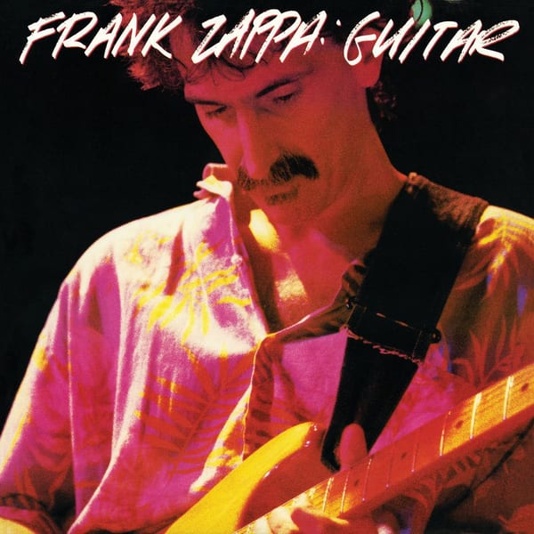 Guitar cover