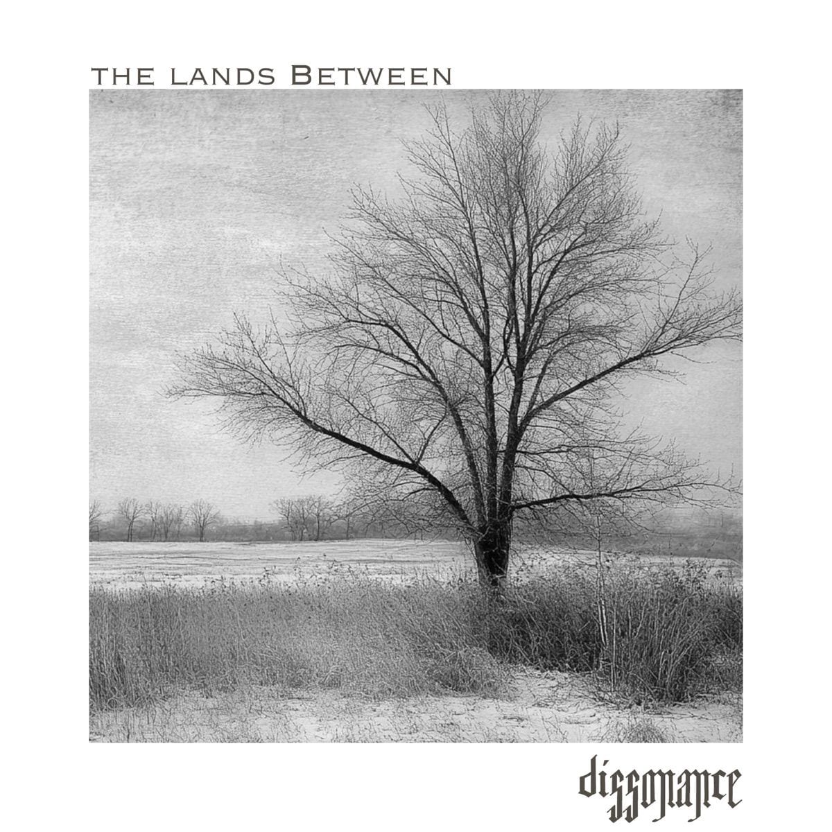 The Lands Between cover