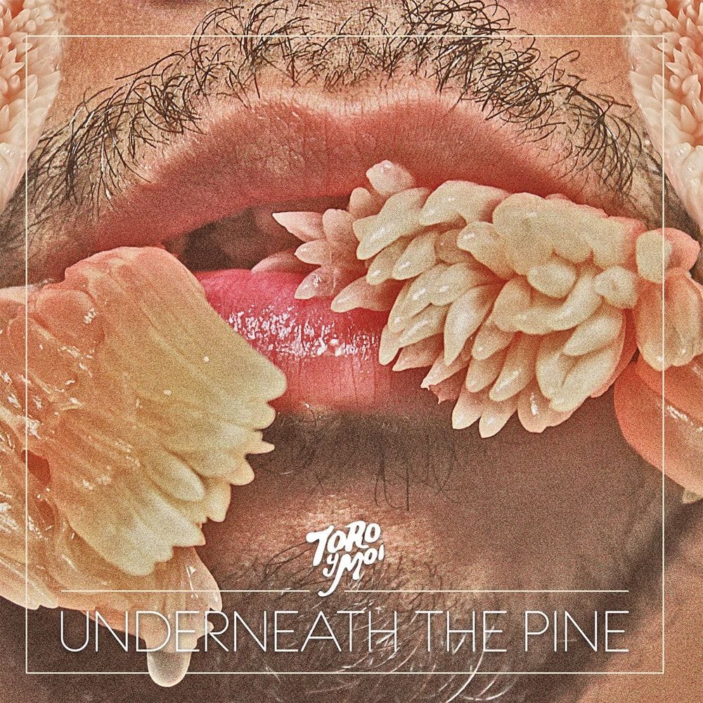 Underneath the Pine cover