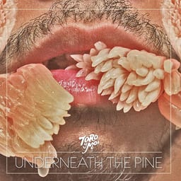 Underneath the Pine cover art
