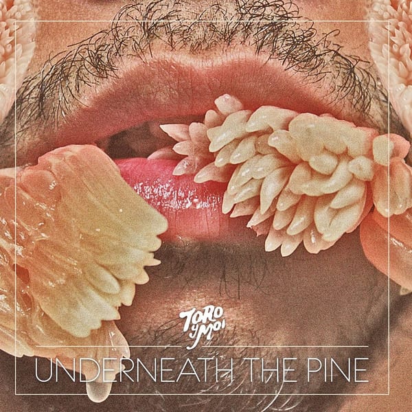 Underneath the Pine album cover