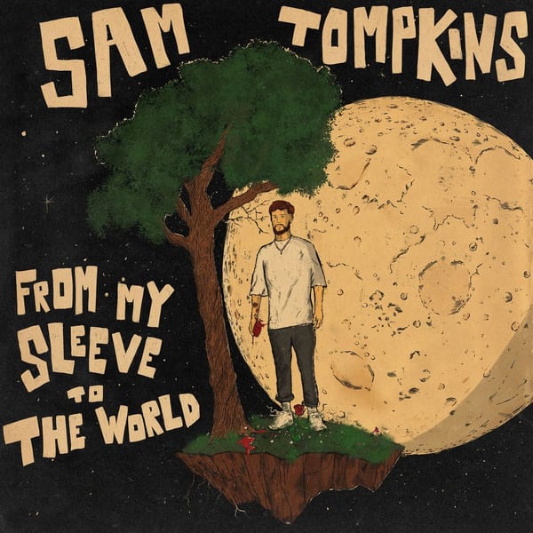 From My Sleeve To The World album cover