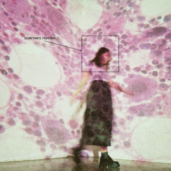 Sometimes, Forever album cover